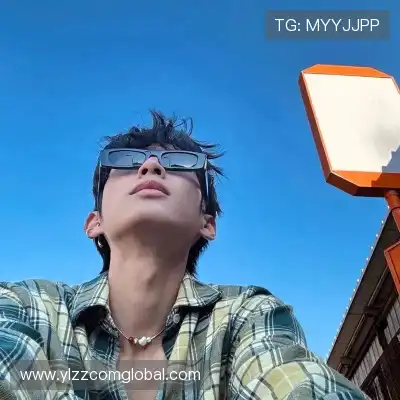 沈辉